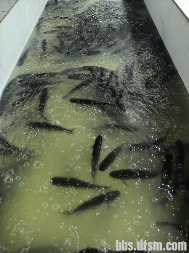 ���¸����ת�ã�����������