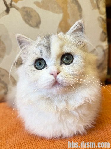 è�������