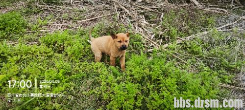 ���۶����������СĸȮ���ǳ��������˳��ۡ�