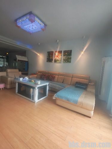 �����˽�����