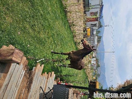 ��Ԫ�Ϻ��󹺶��ַ�һ��3.4�Ҷ���