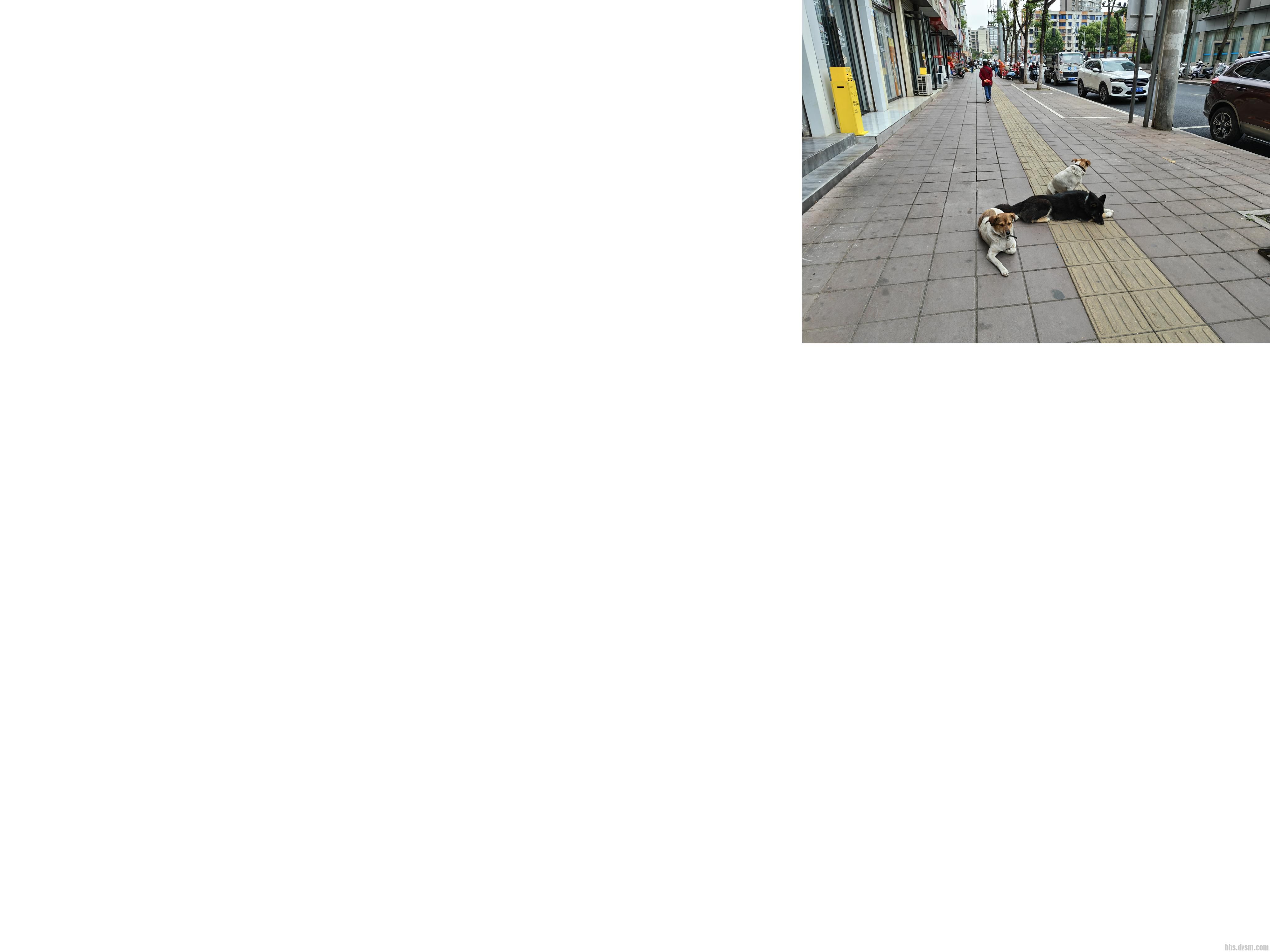 ����ز��ż�ǿȮֻ���������ﹷ�����֣�