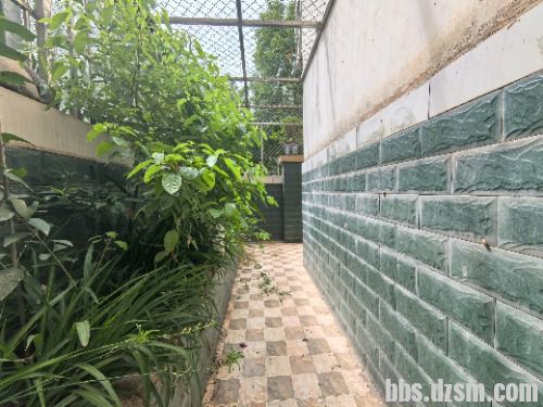 ��������1200���ݴ�ƽ̨15328590996