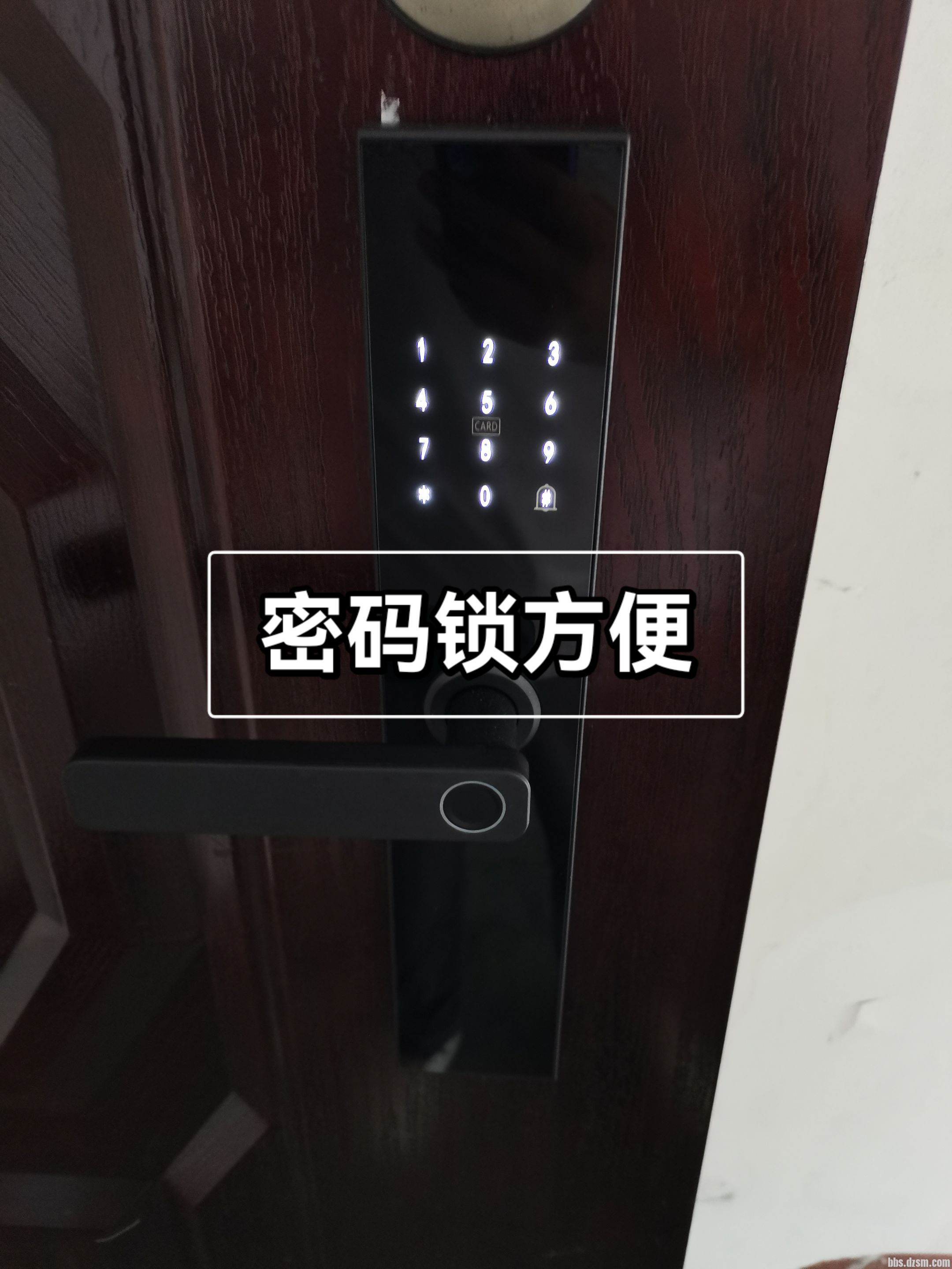 ָ����